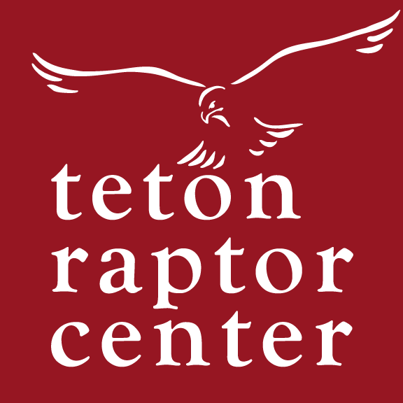 Teton Raptor Center RaptorFest at JacksonHoleLive!